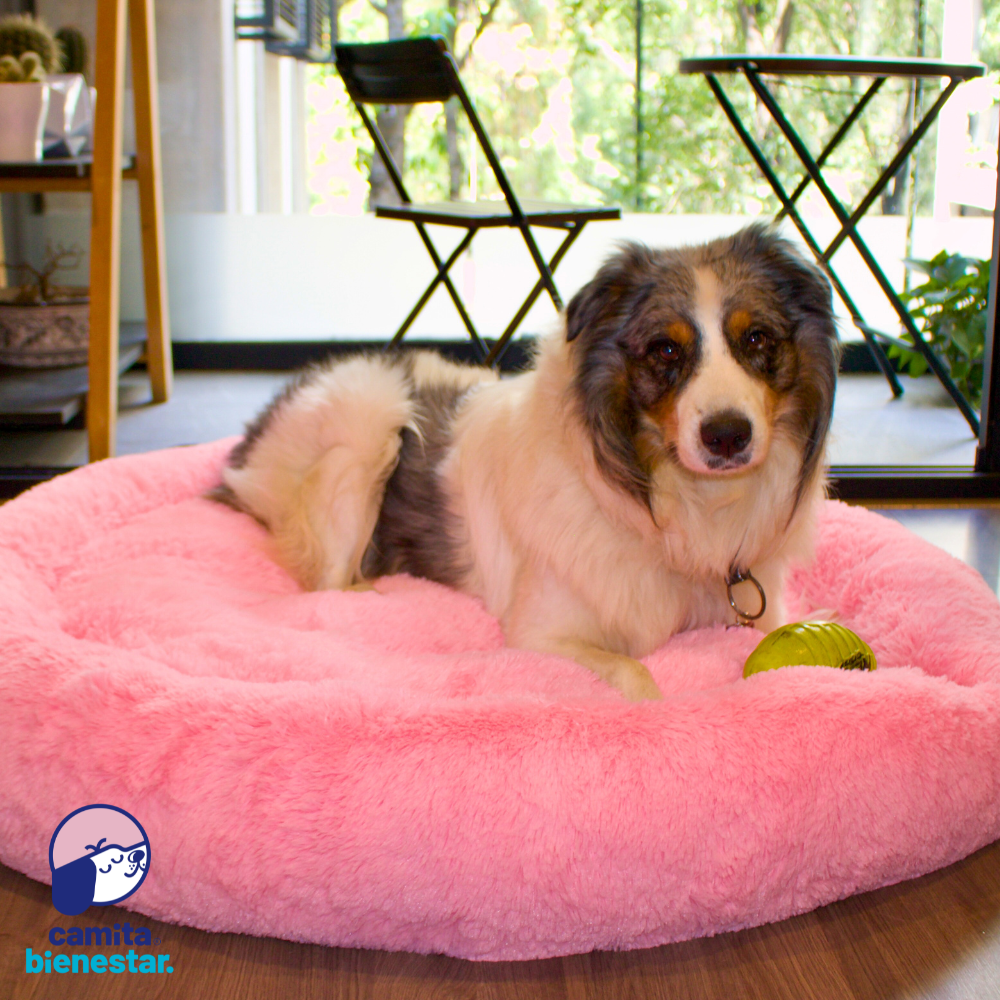 Camita Antiestrés con Memory Foam