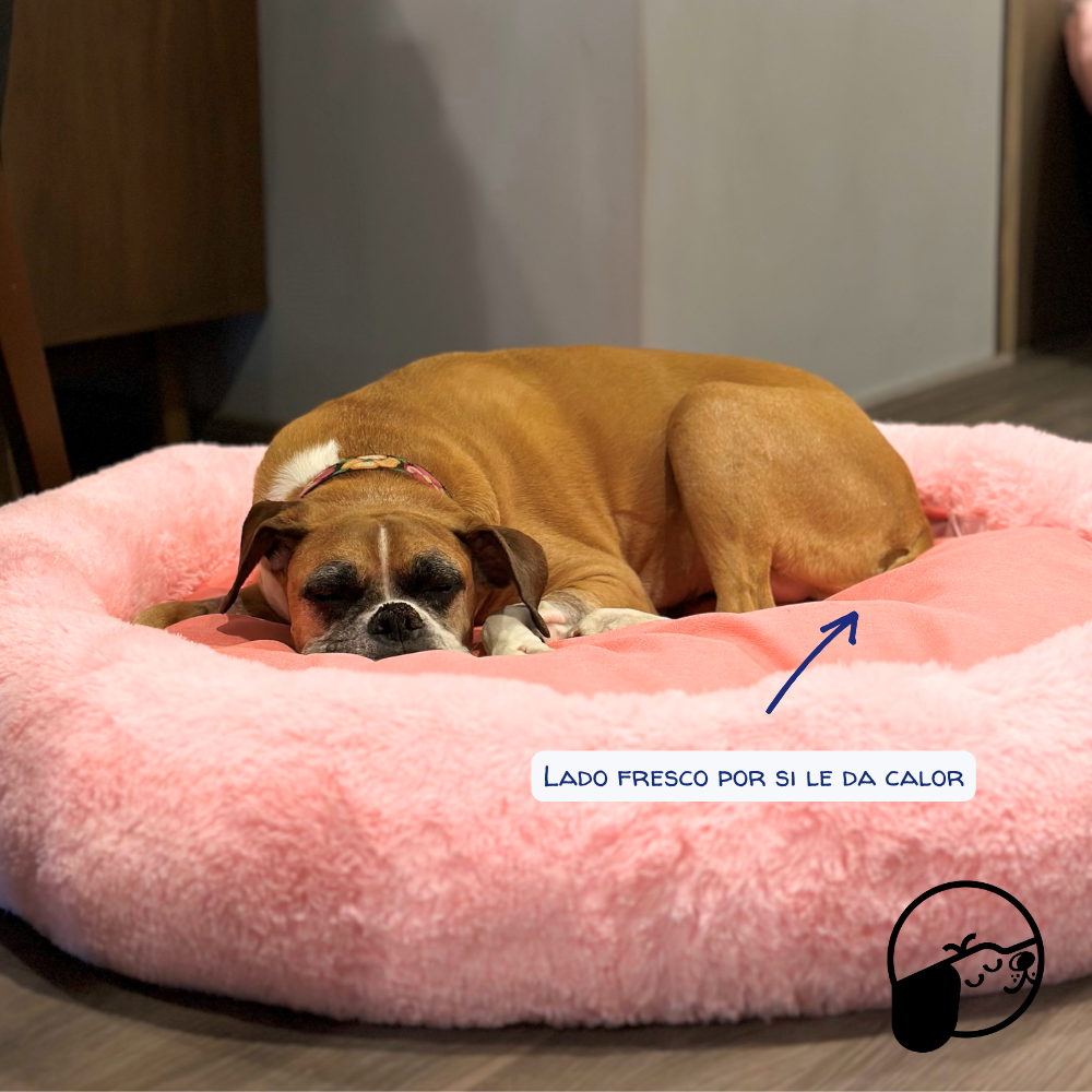 Camita Antiestrés con Memory Foam