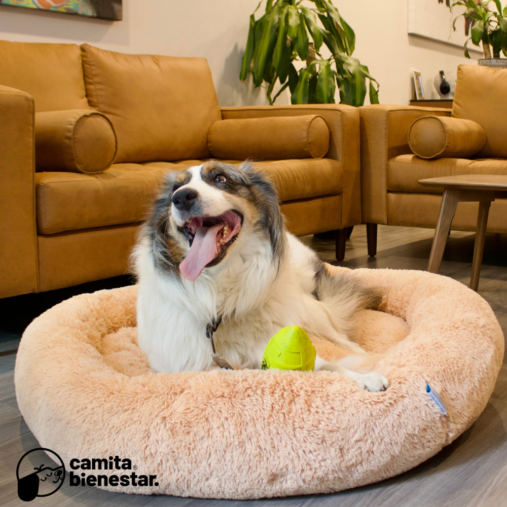 Camita Antiestrés con Memory Foam
