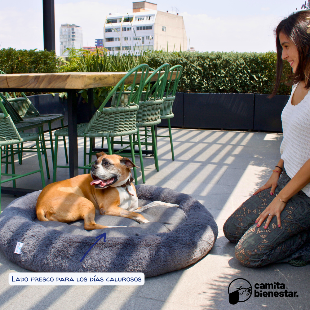 Camita Antiestrés con Memory Foam