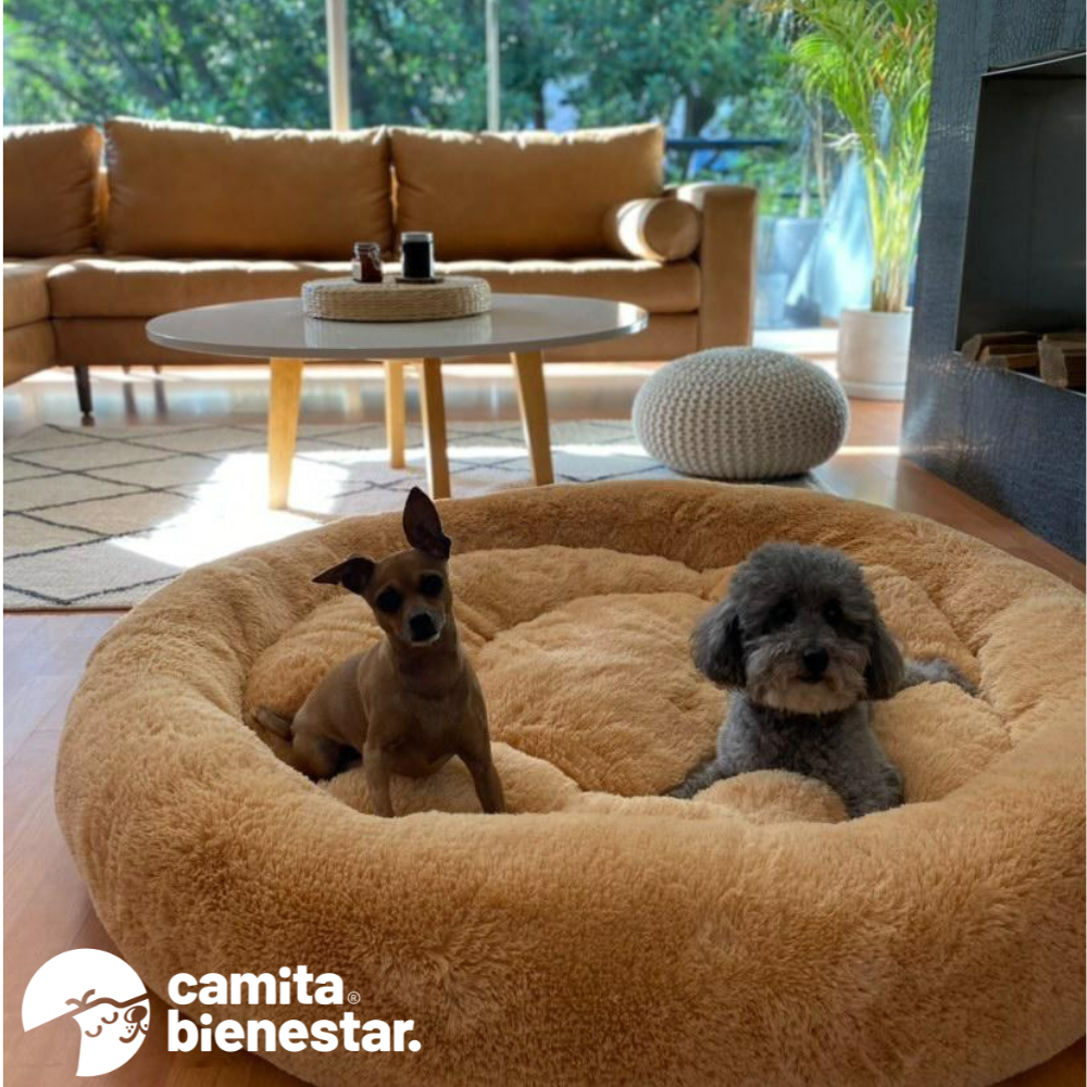 Camita Antiestrés con Memory Foam