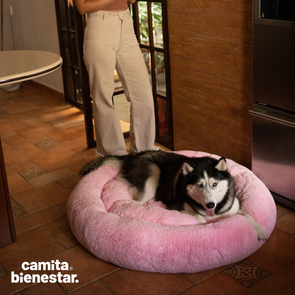 Camita Antiestrés con Memory Foam