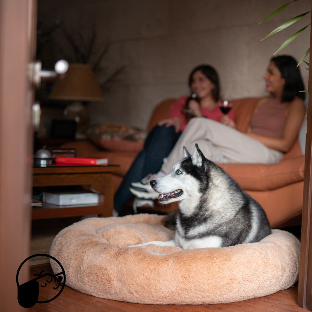 Camita Antiestrés con Memory Foam