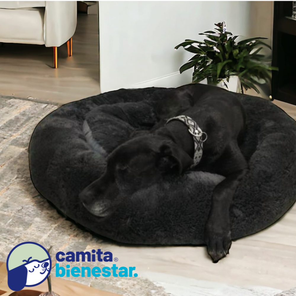 Camita Antiestrés con Memory Foam