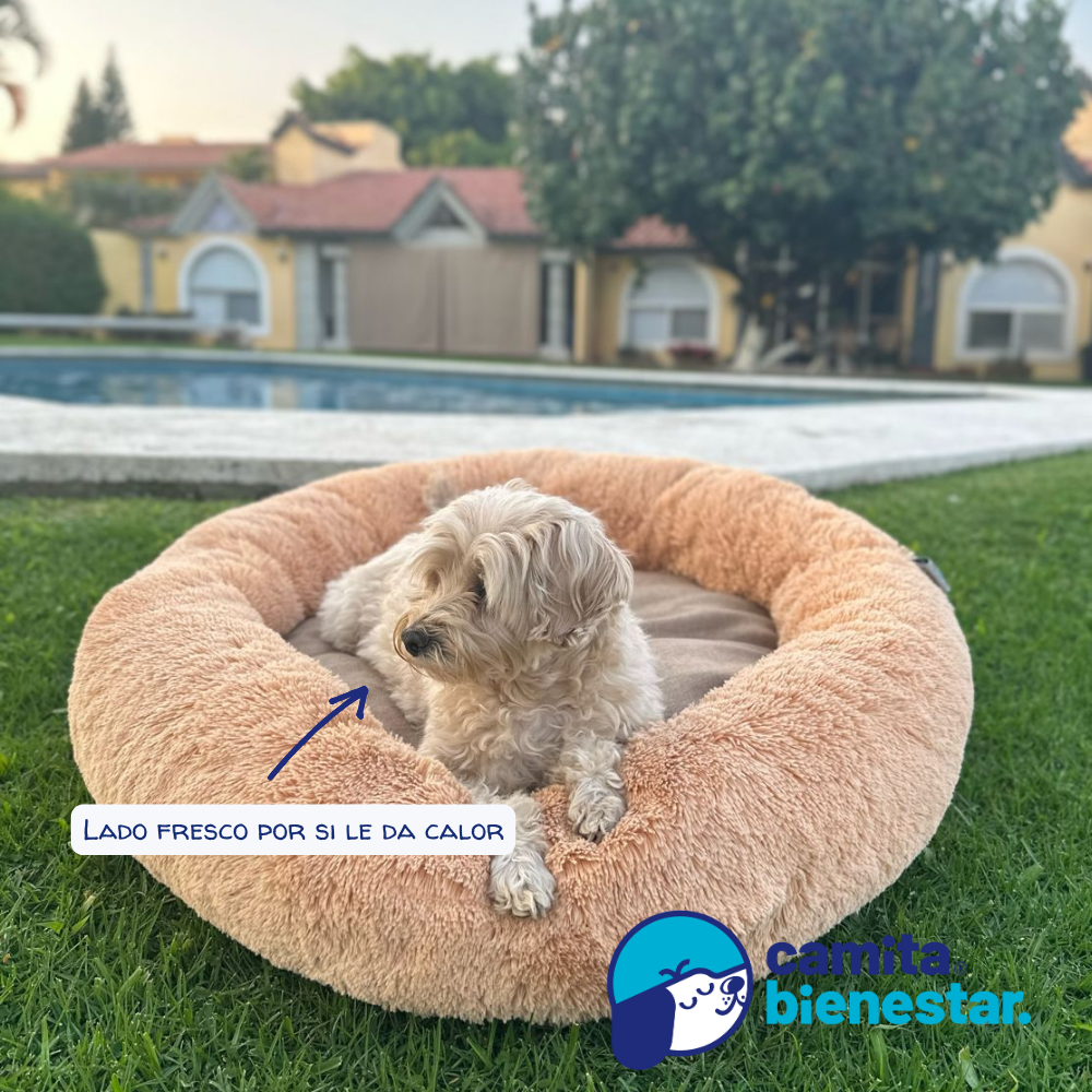 Camita Antiestrés con Memory Foam