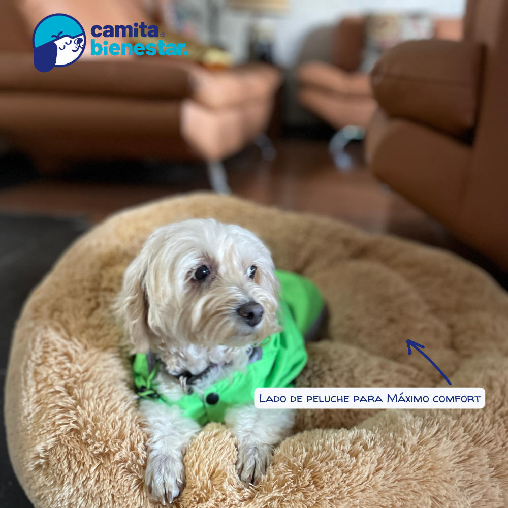Camita Antiestrés con Memory Foam