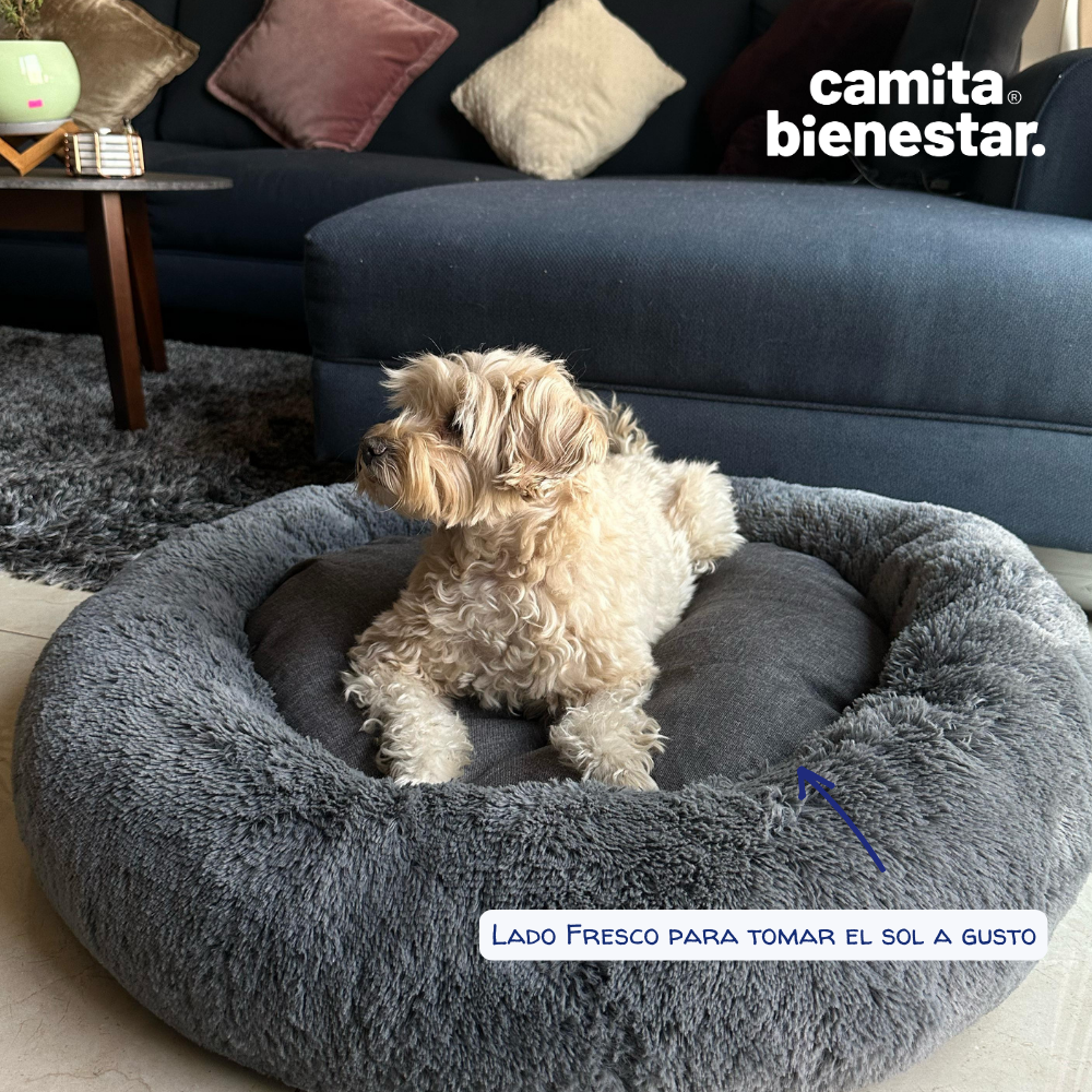 Camita Antiestrés con Memory Foam