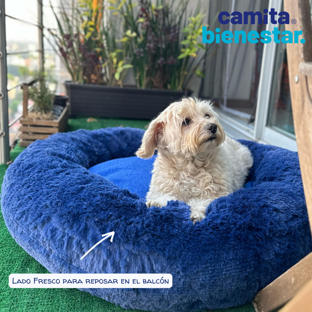 Camita Antiestrés con Memory Foam
