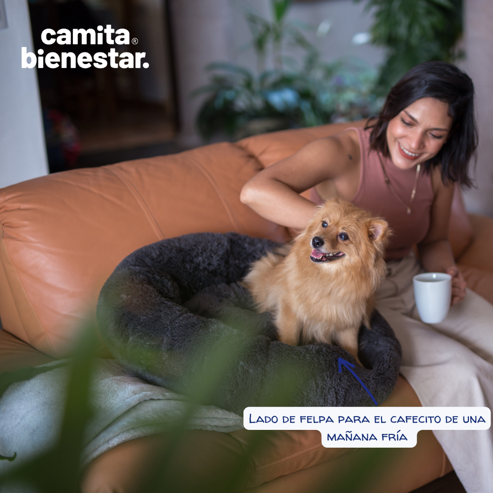 Camita Antiestrés con Memory Foam
