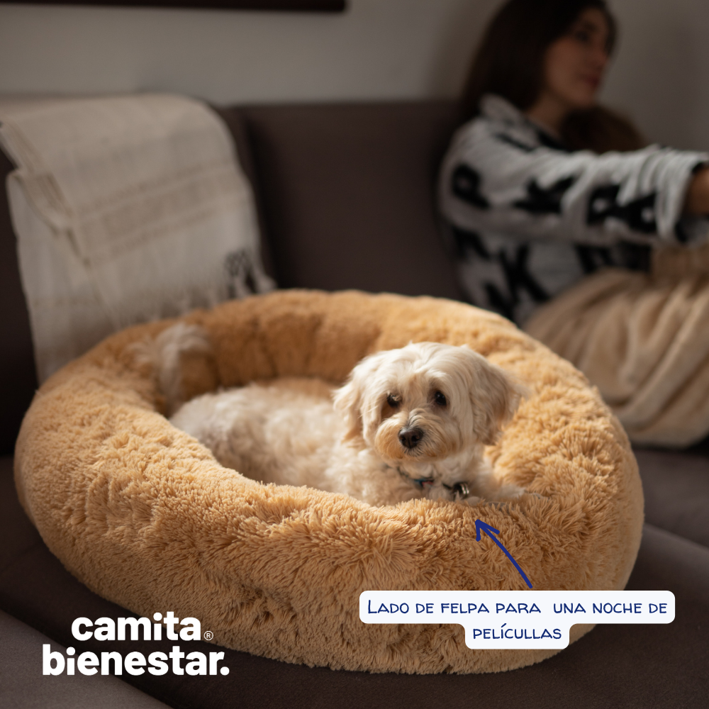Camita Antiestrés con Memory Foam