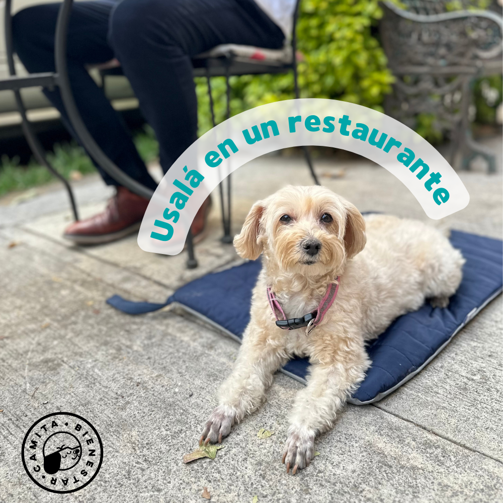 Cama Portátil Bienestar Para Viaje