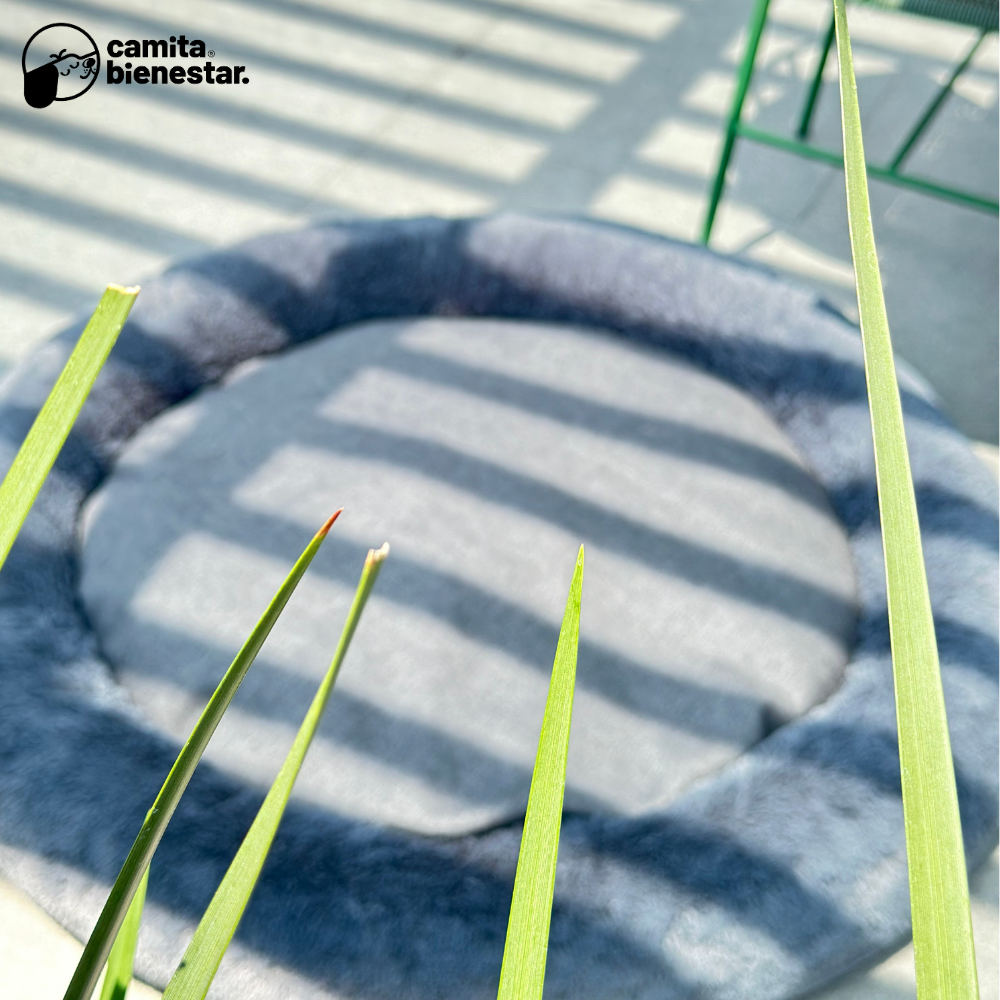 Camita Antiestrés con Memory Foam