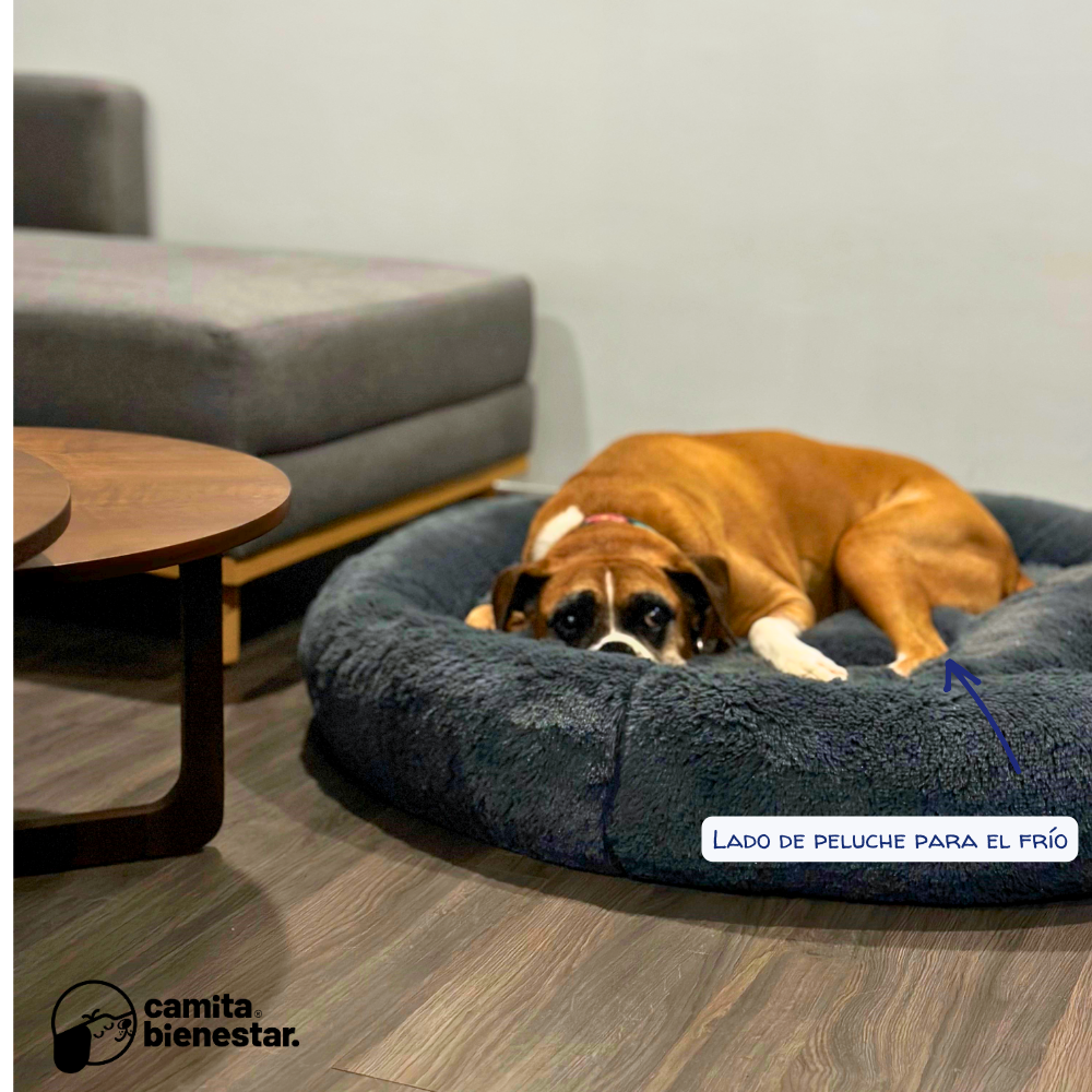 Camita Antiestrés con Memory Foam