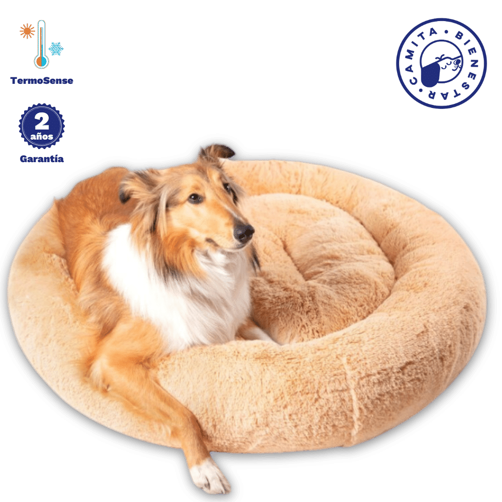 Camita Antiestrés con Memory Foam