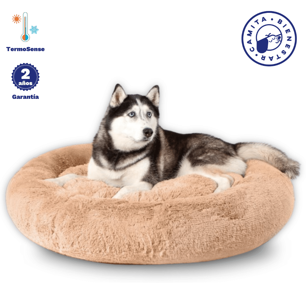 Camita Antiestrés con Memory Foam