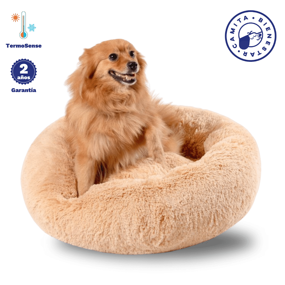 Camita Antiestrés con Memory Foam