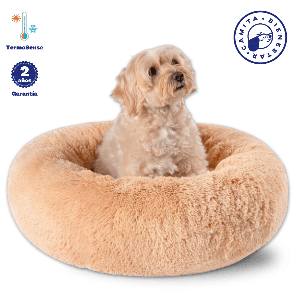 Camita Antiestrés con Memory Foam