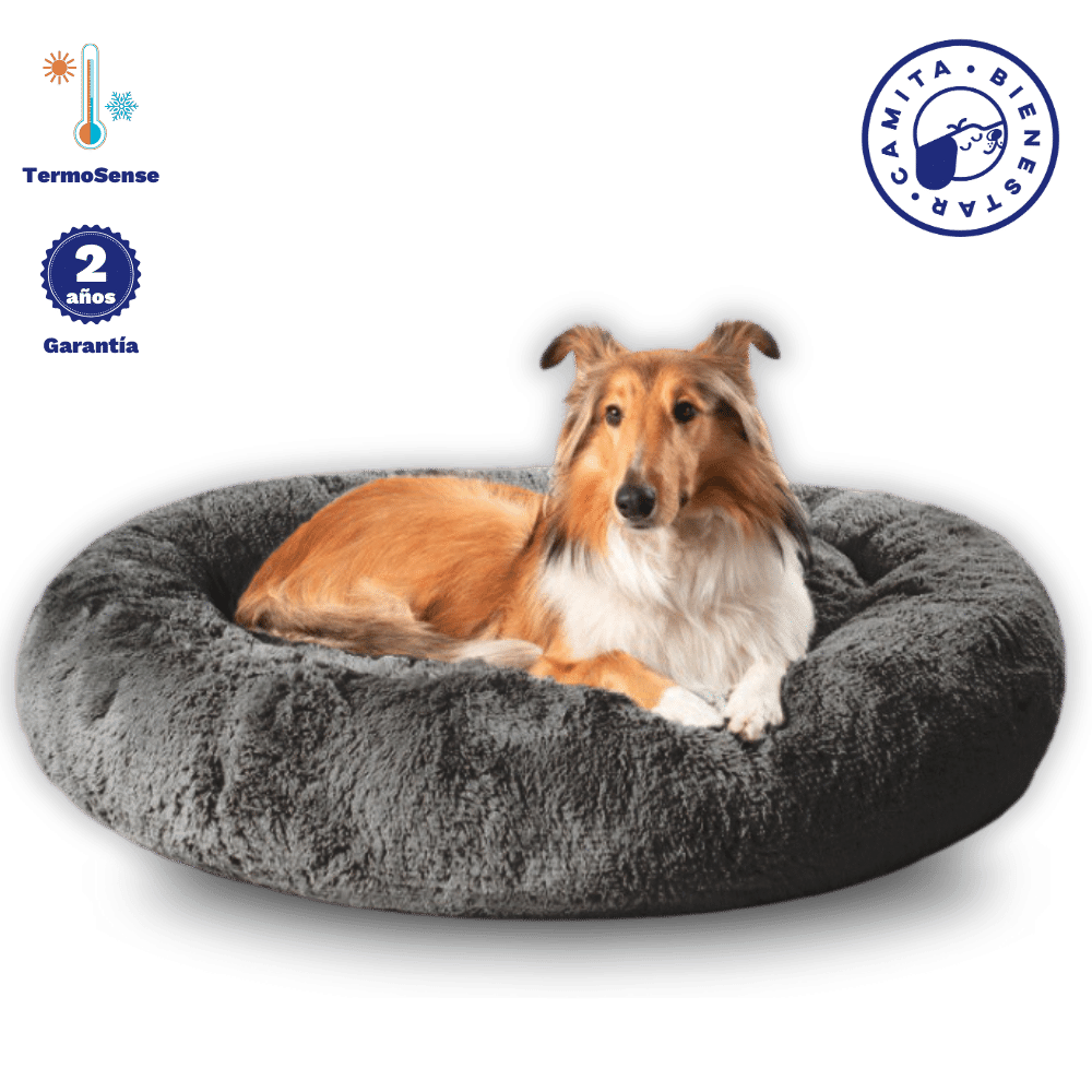 Camita Antiestrés con Memory Foam