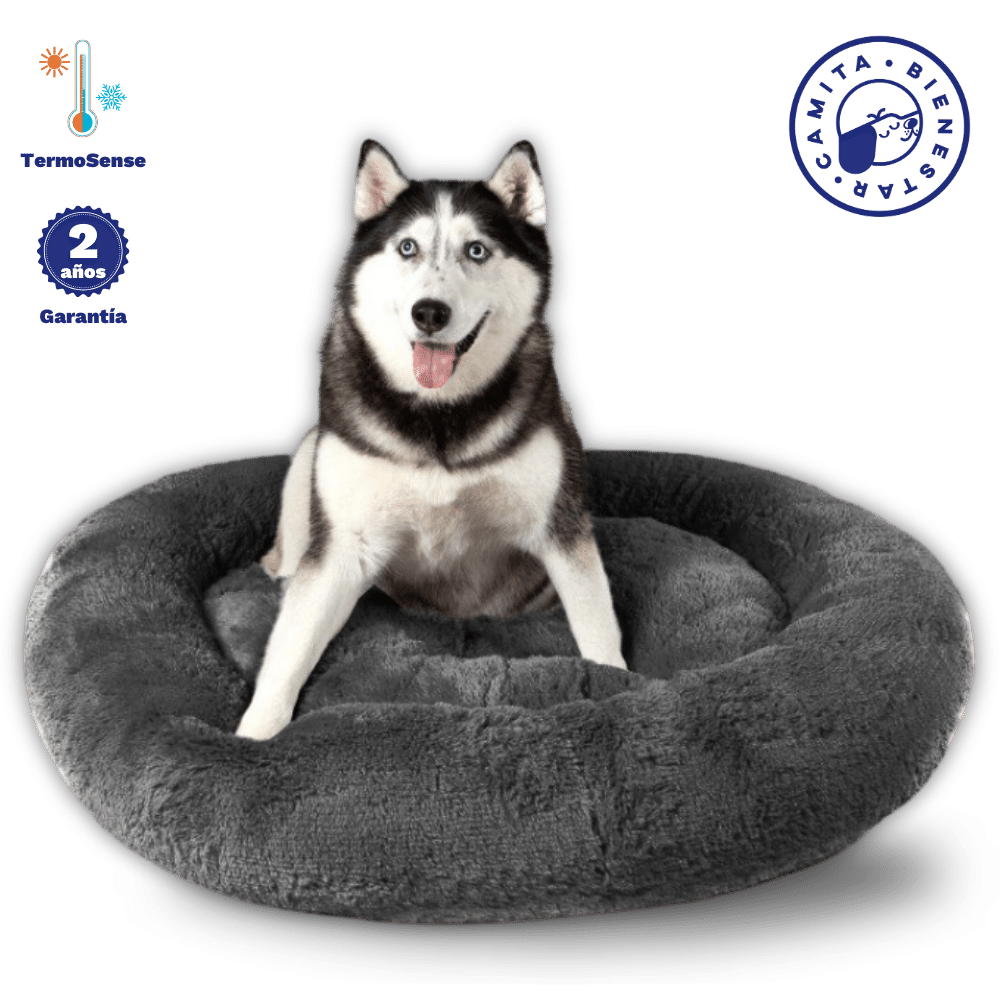 Camita Antiestrés con Memory Foam
