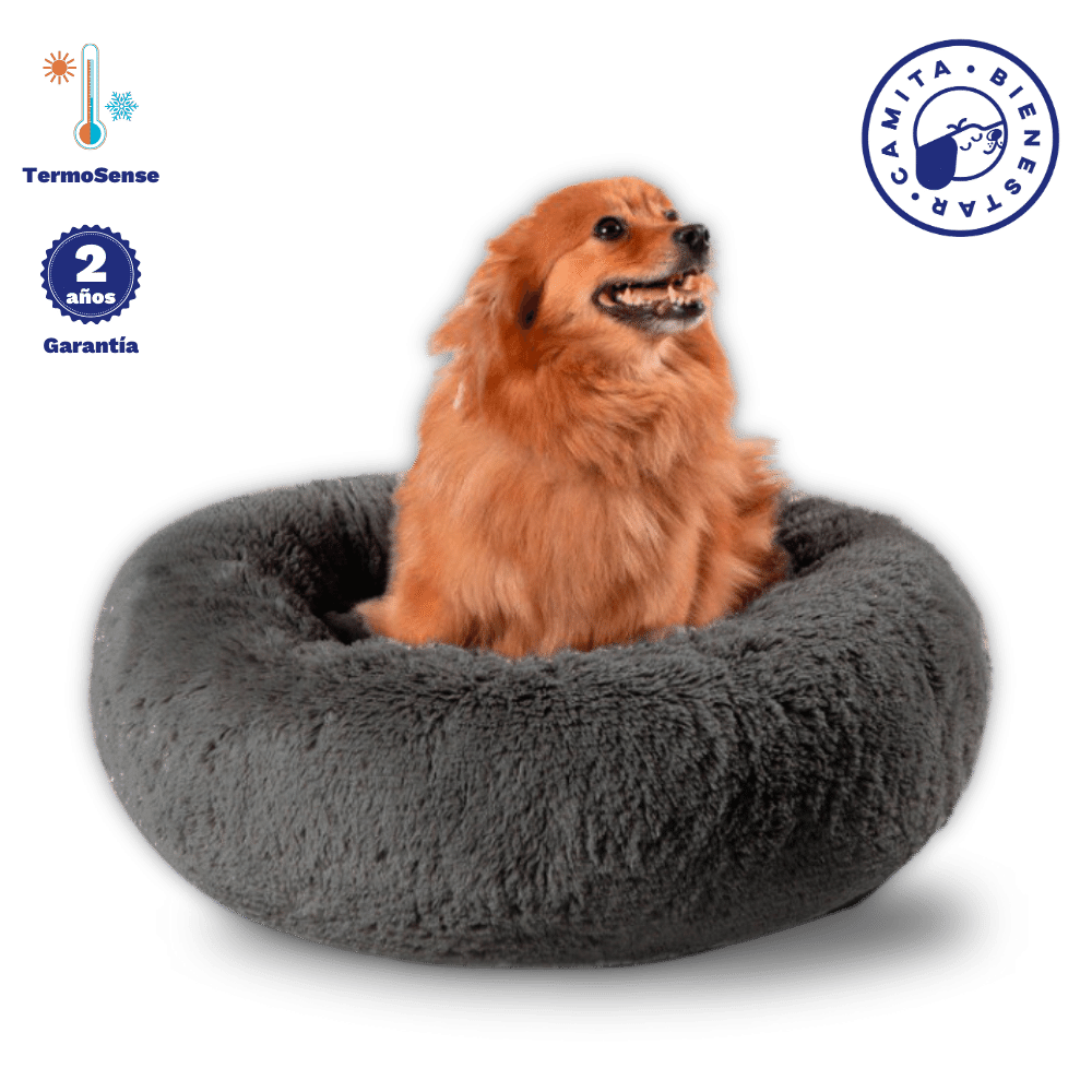 Camita Antiestrés con Memory Foam