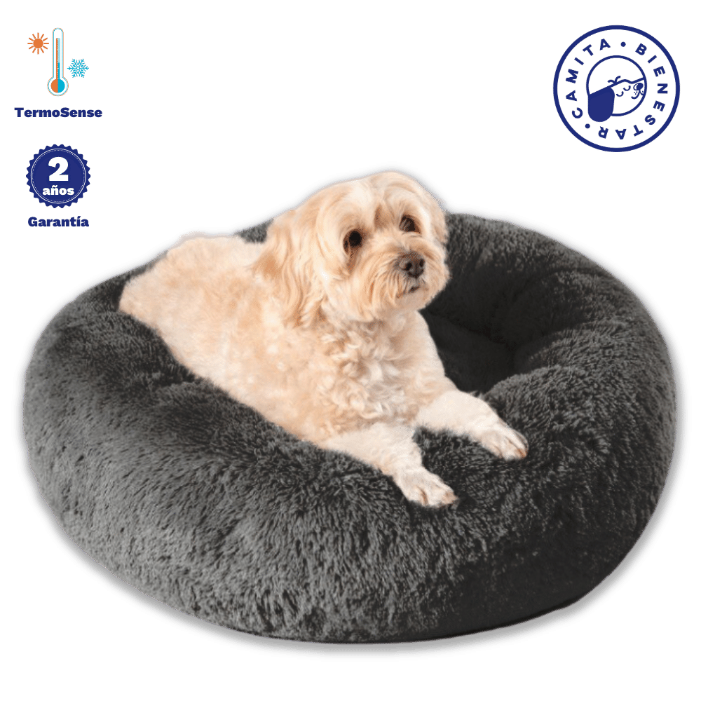 Camita Antiestrés con Memory Foam