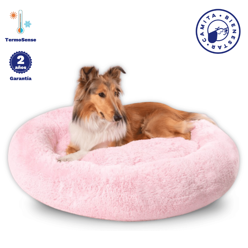 Camita Antiestrés con Memory Foam