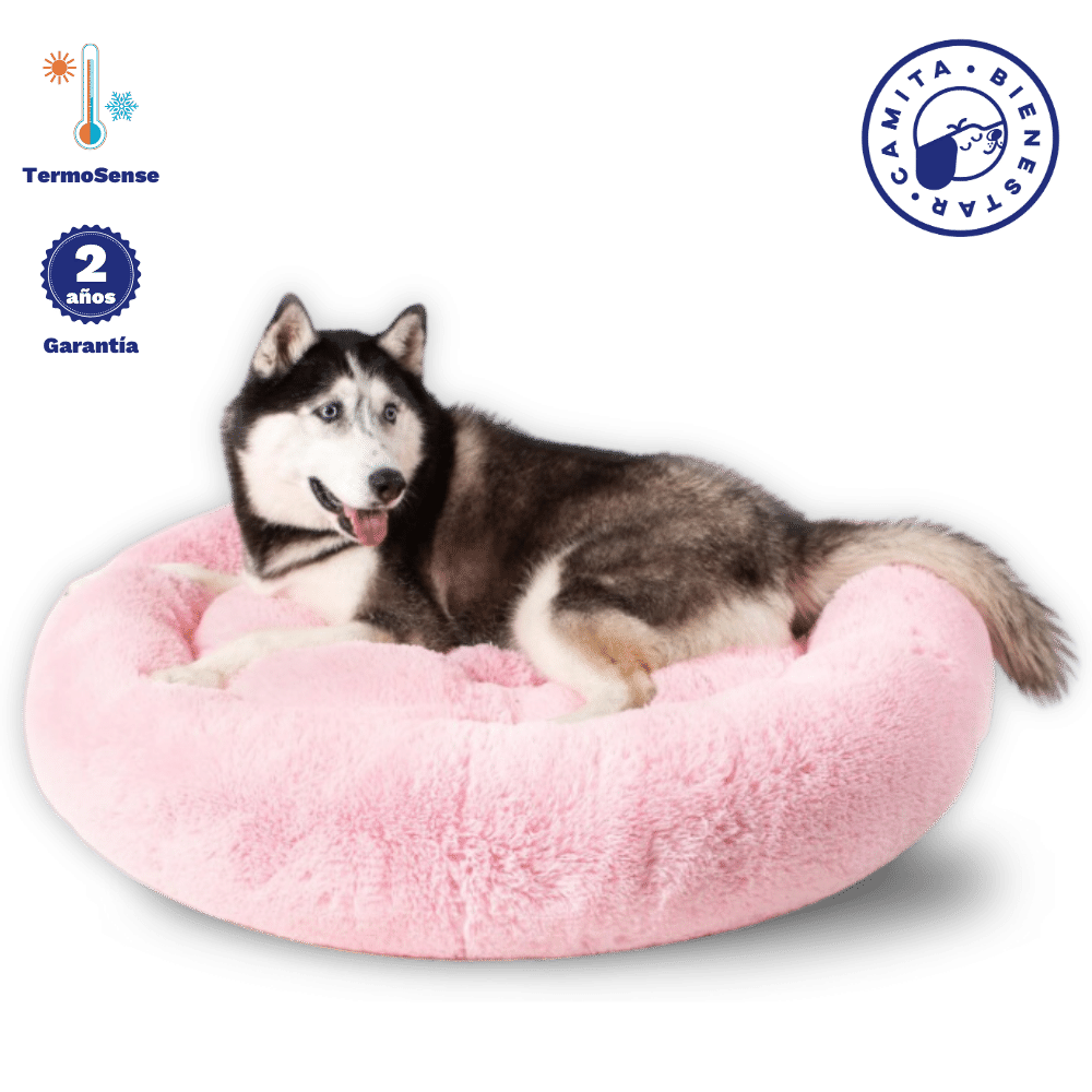 Camita Antiestrés con Memory Foam