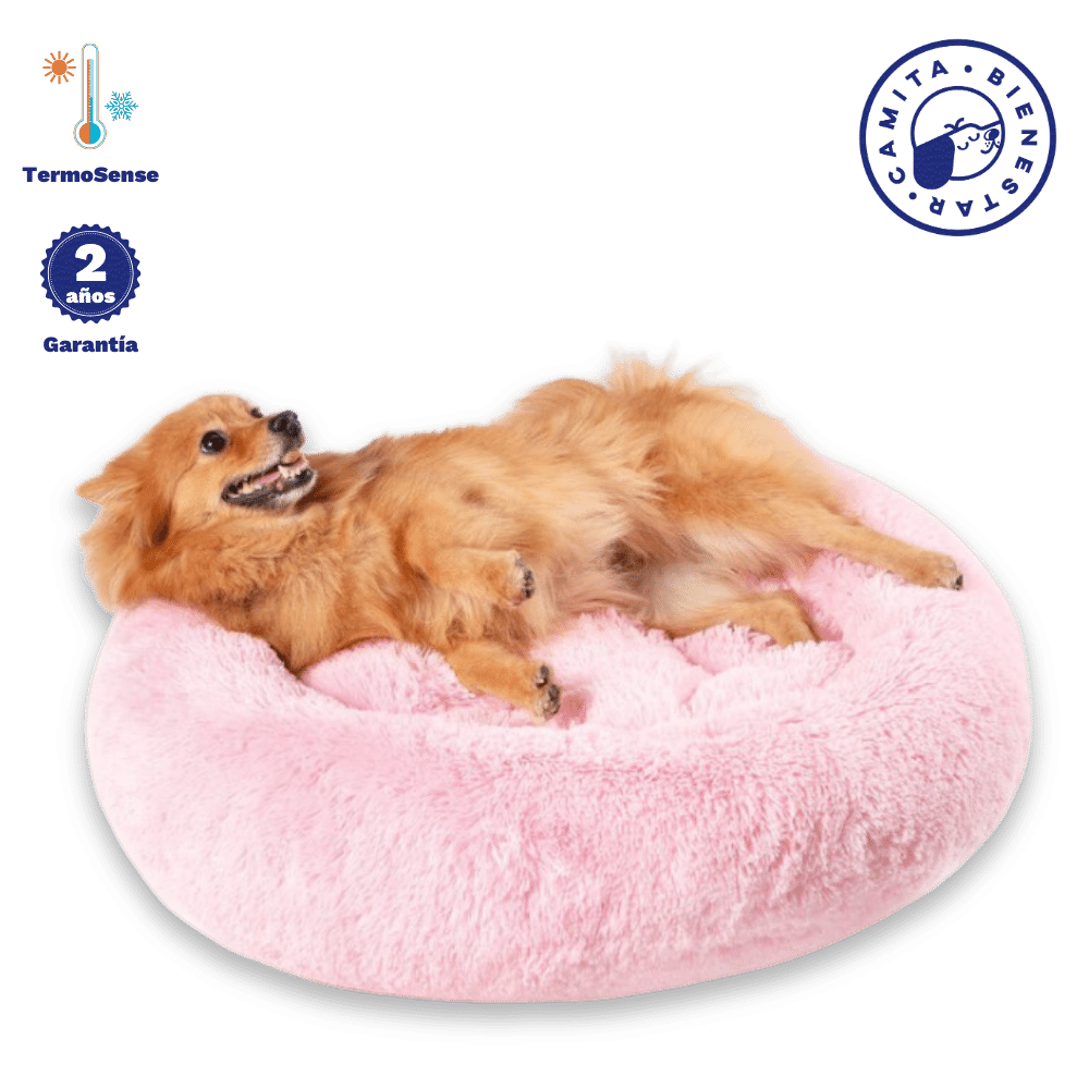 Camita Antiestrés con Memory Foam