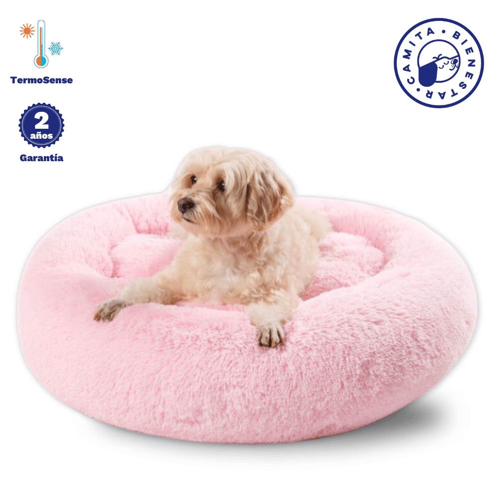 Camita Antiestrés con Memory Foam