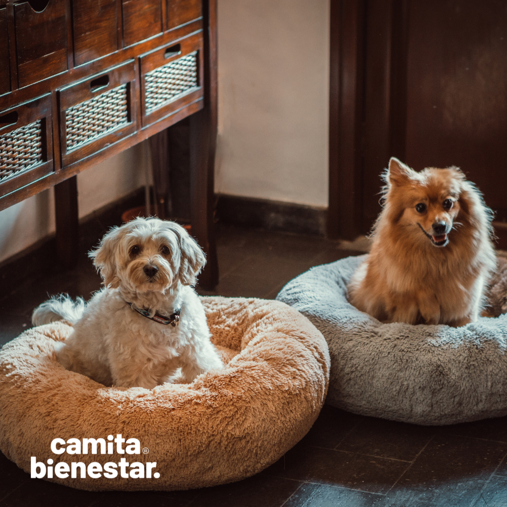 Camita Antiestrés con Memory Foam