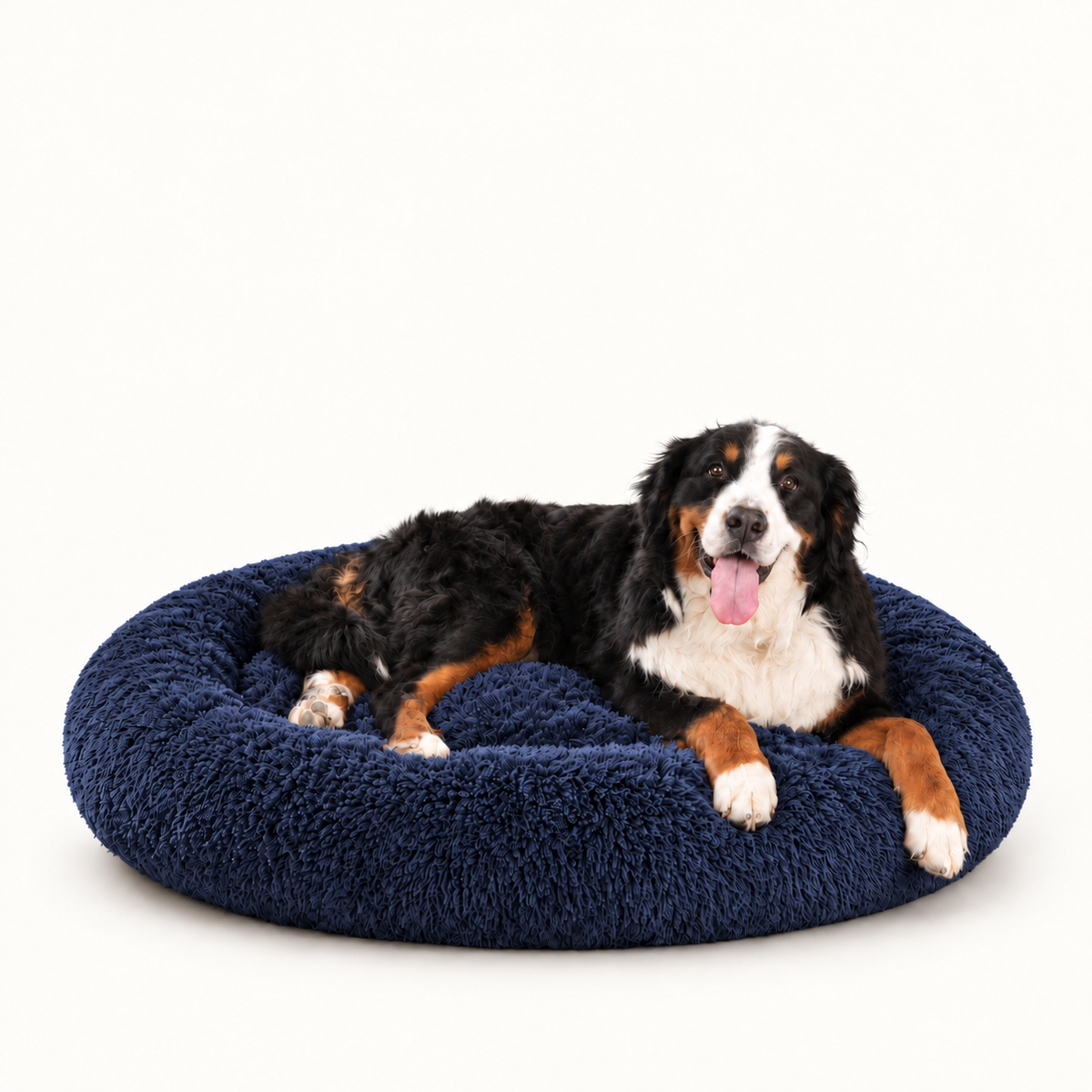 Camita Antiestrés, 4 usos en 1 con Memory Foam