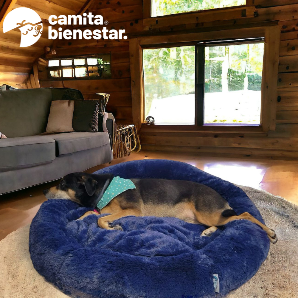 Camita Antiestrés con Memory Foam