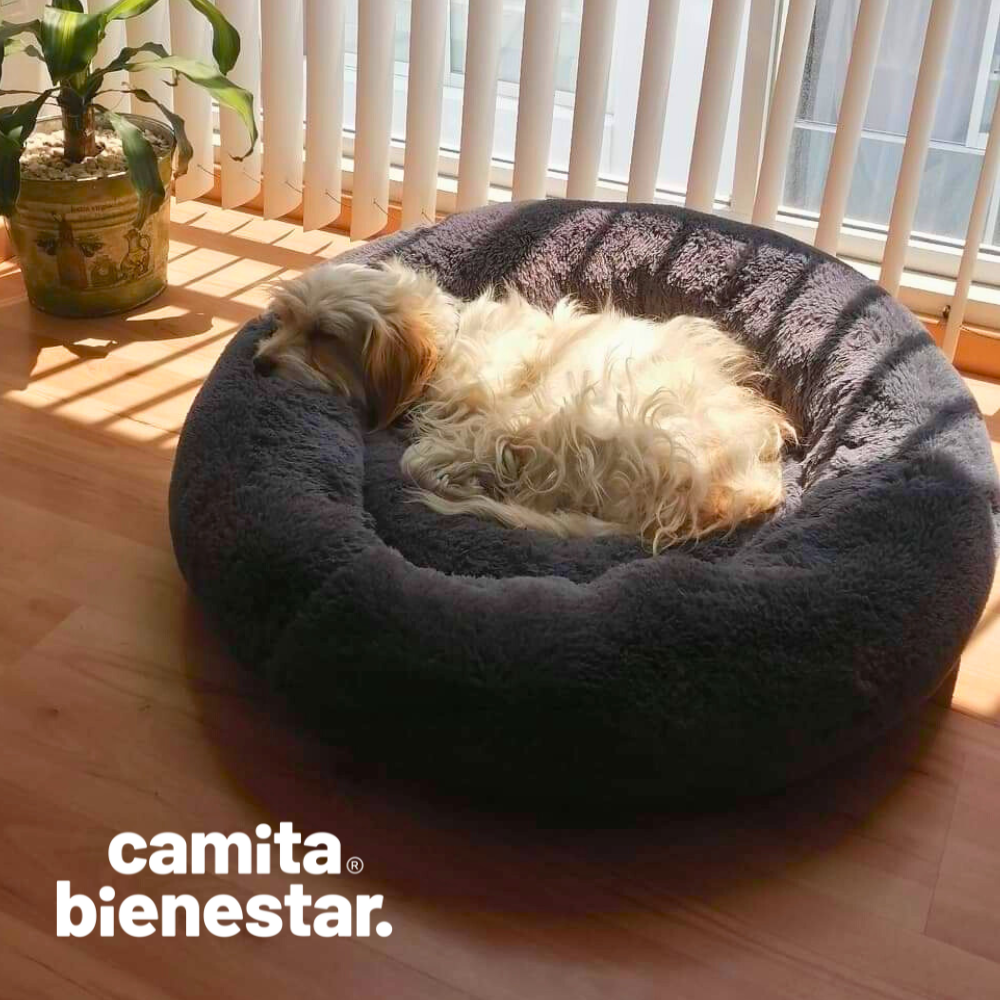 Camita Antiestrés con Memory Foam