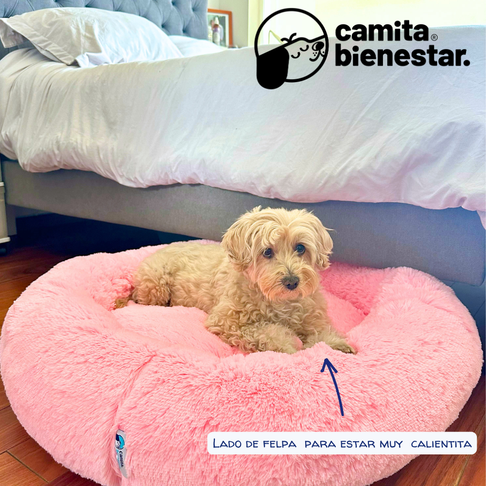 Camita Antiestrés con Memory Foam