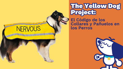 The Yellow Dog Project: El Código de los Collares y Pañuelos en los Perros