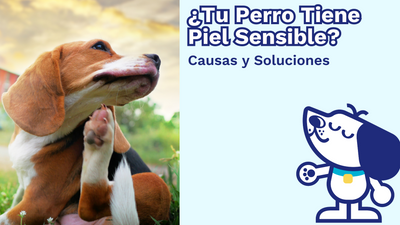¿Tu Perro Tiene Piel Sensible?