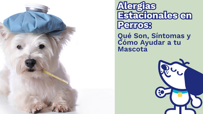 Alergias Estacionales en Perros