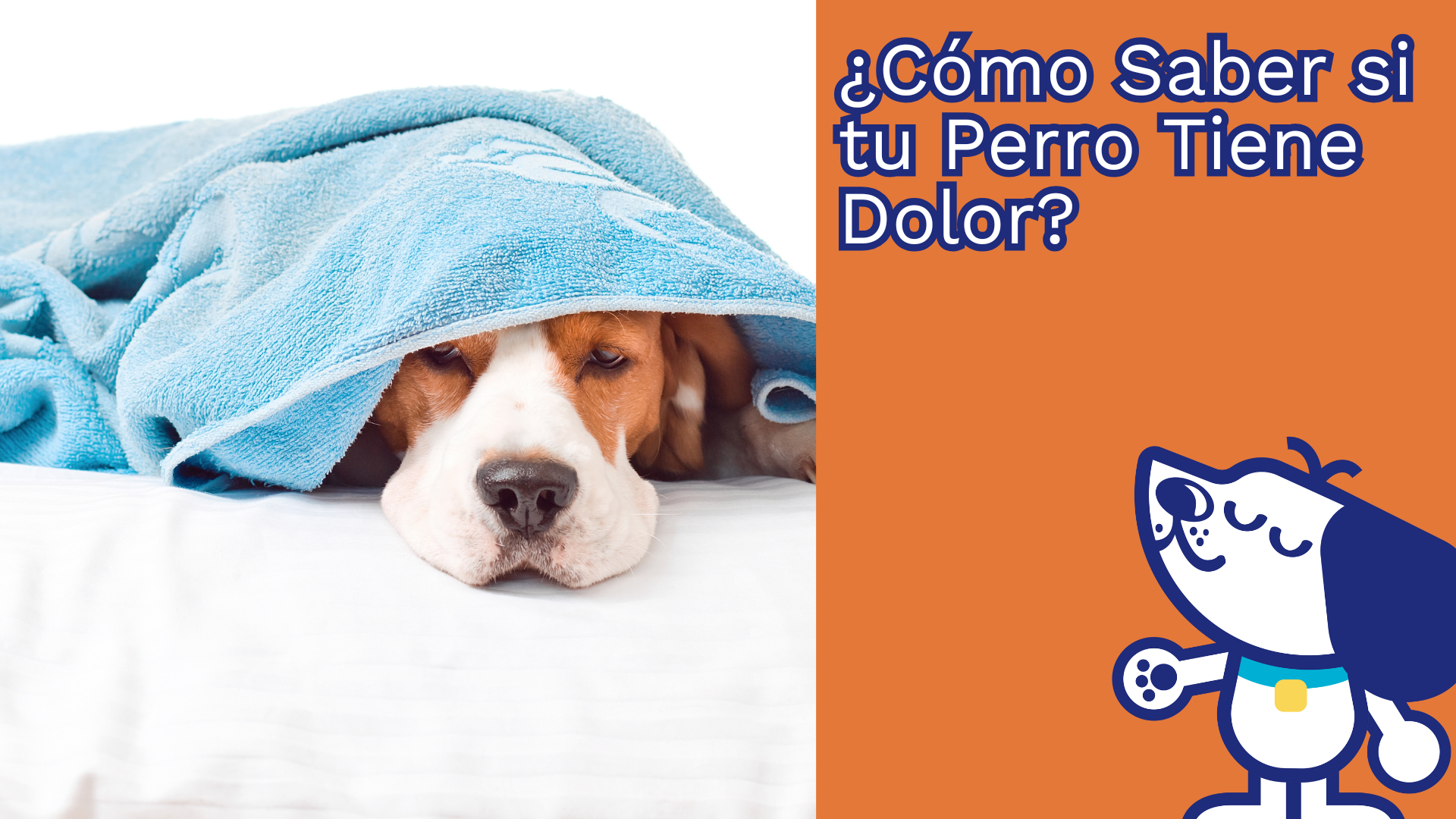¿Cómo Saber si tu Perro Tiene Dolor?