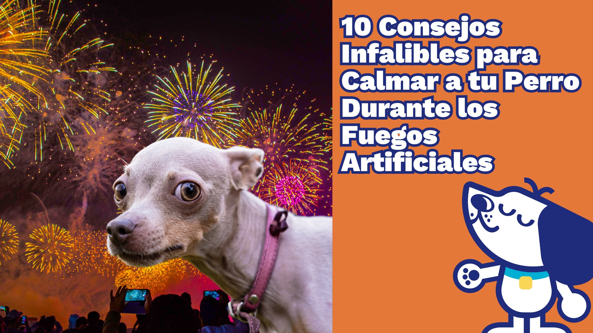 10 Consejos Infalibles para Calmar a tu Perro Durante los Fuegos Artificiales