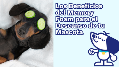 Los Beneficios del Memory Foam para el Descanso de tu Mascota