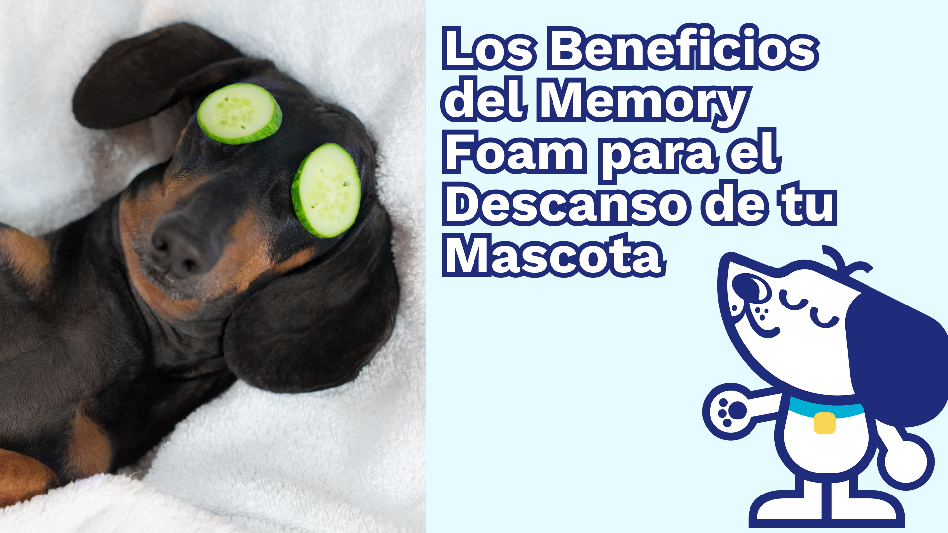 Los Beneficios del Memory Foam para el Descanso de tu Mascota