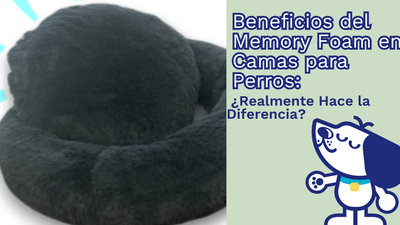 🐾 Beneficios del Memory Foam en Camas para Perros: ¿Realmente Hace la Diferencia?