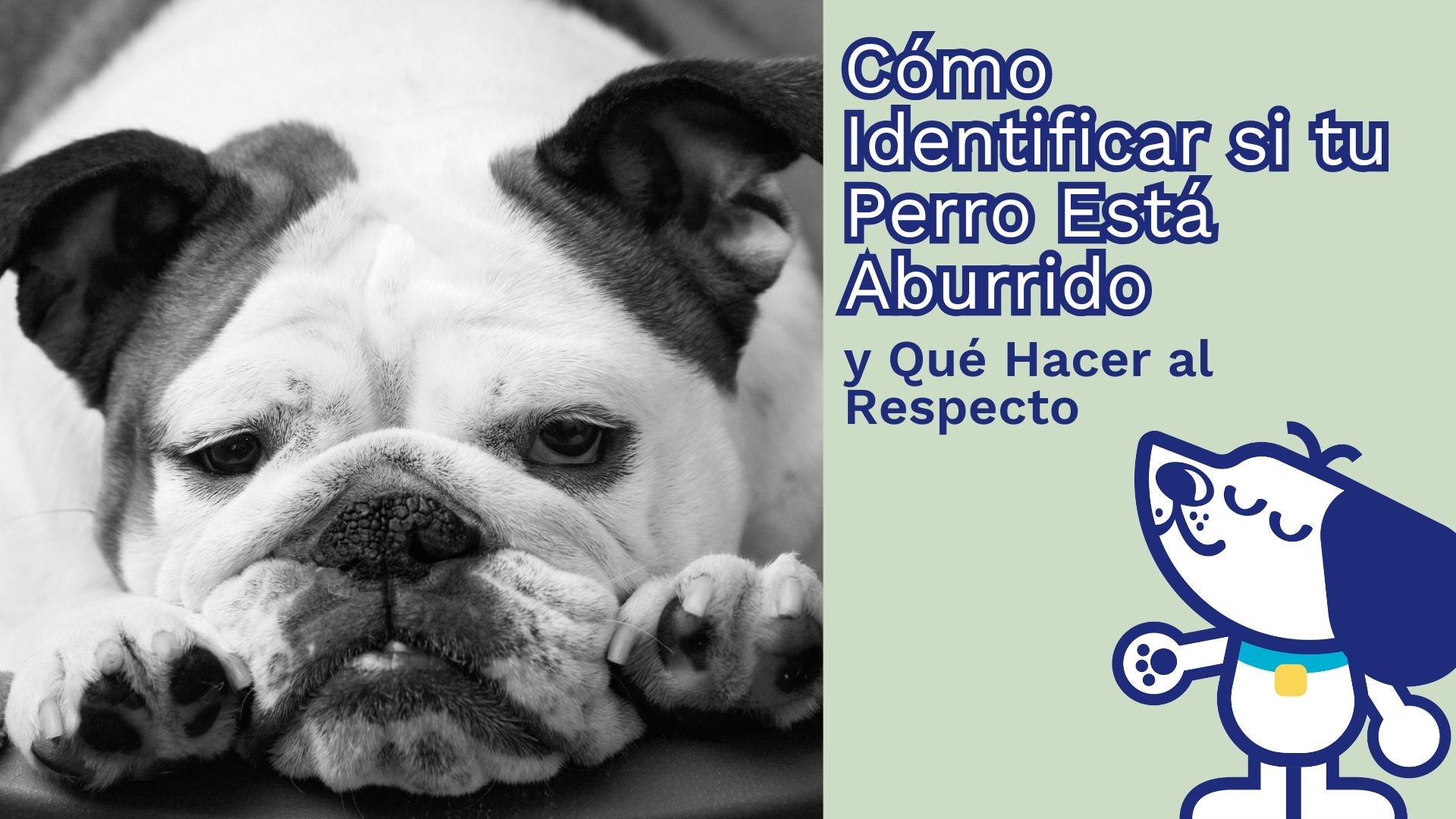 Cómo Identificar si tu Perro Está Aburrido y Qué Hacer al Respecto🐾