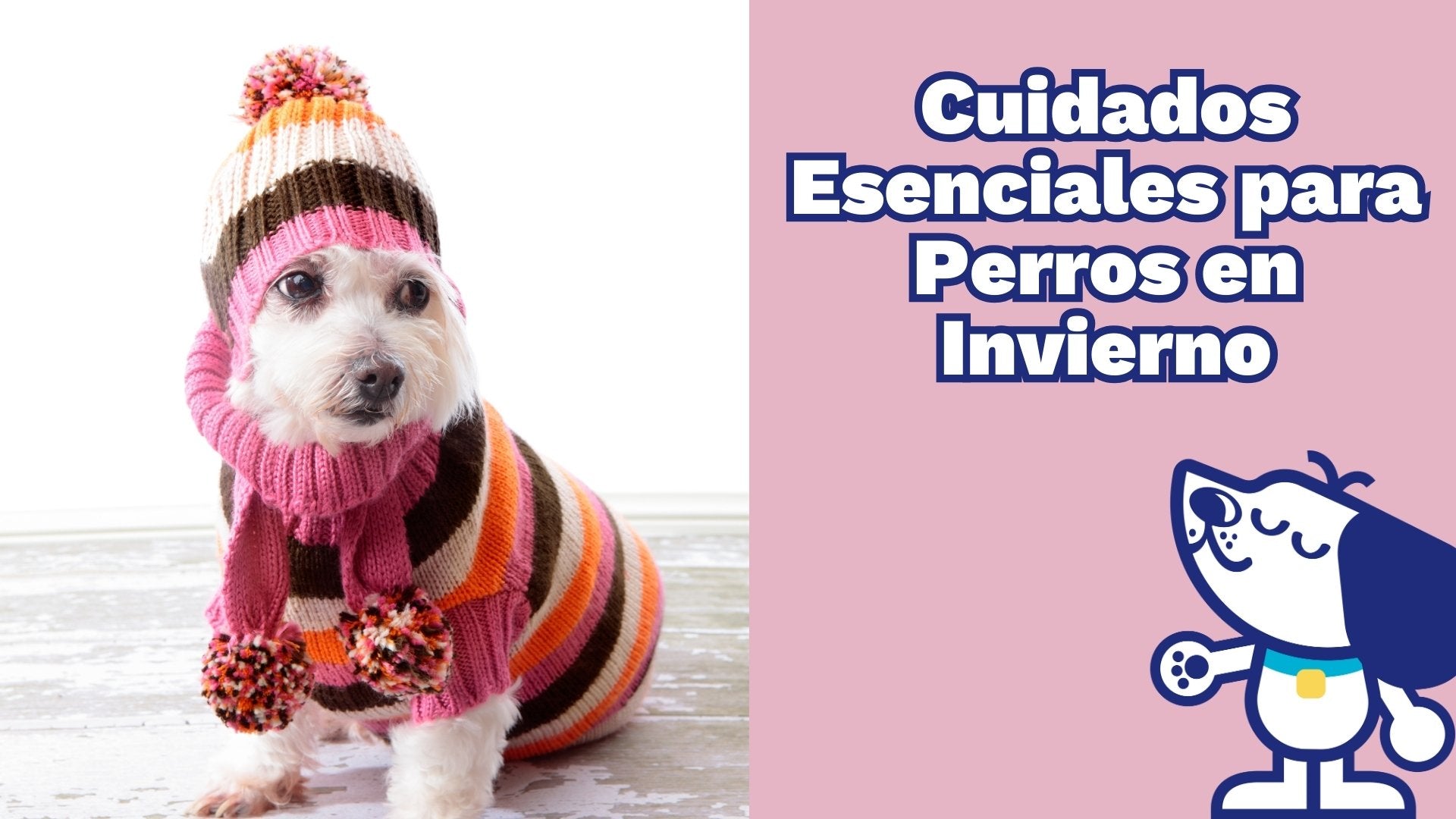 Cuidados Esenciales para Perros en Invierno
