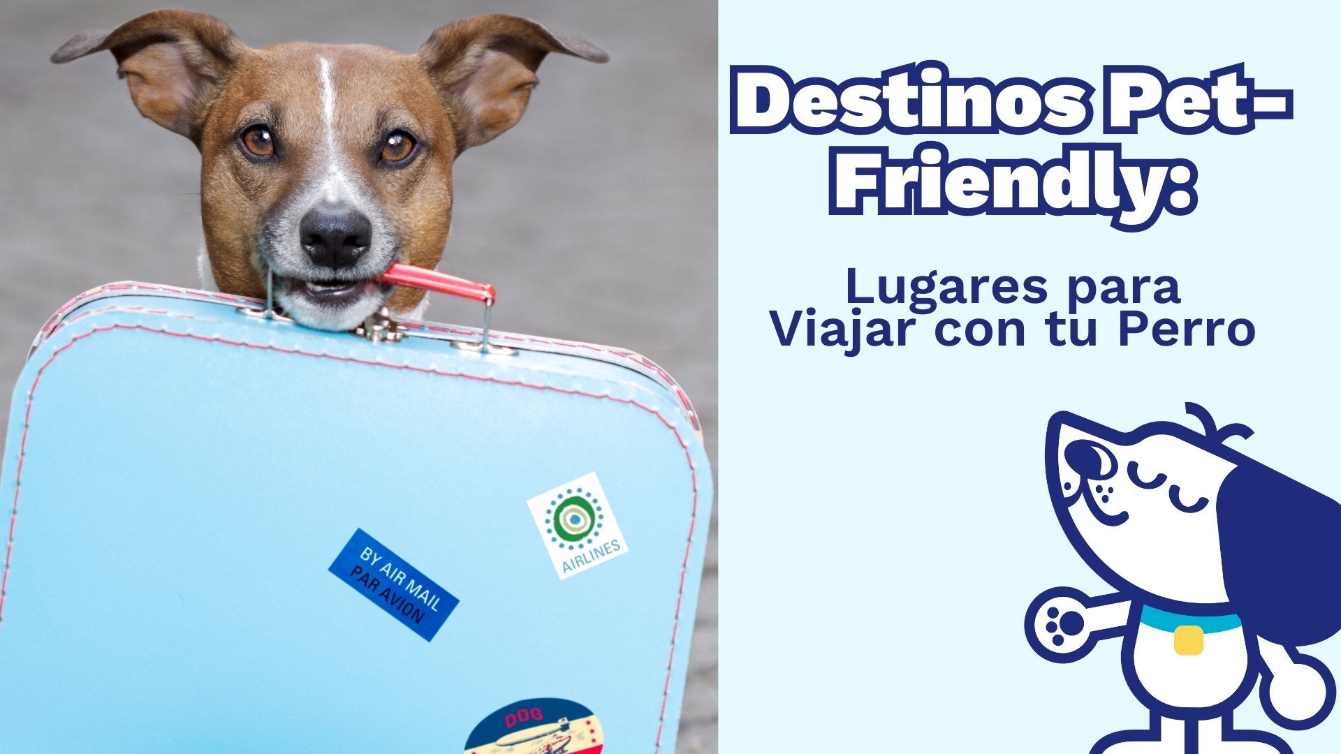Destinos Pet-Friendly: Lugares para Viajar con tu Perro