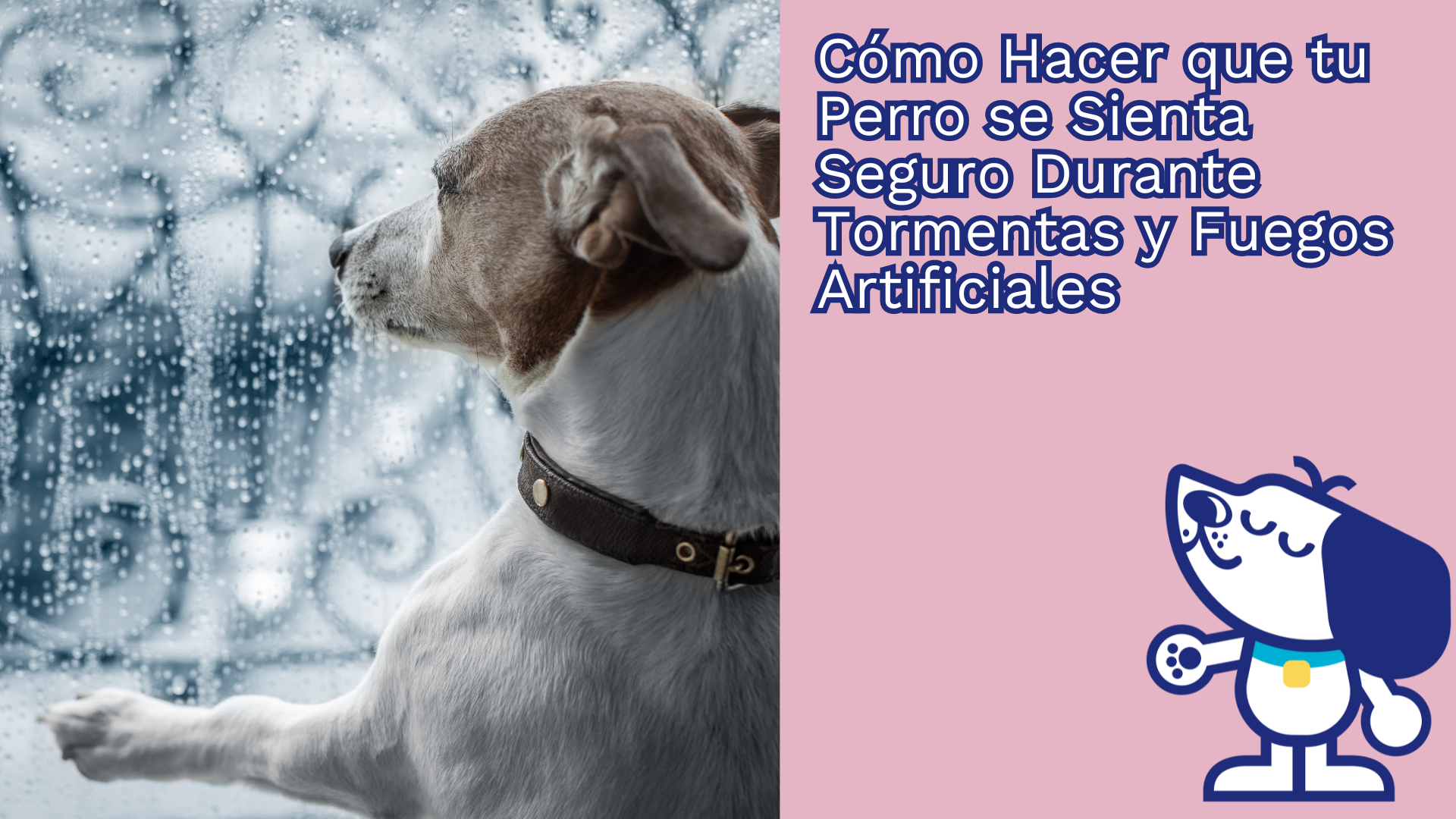 Cómo Hacer que tu Perro se Sienta Seguro Durante Tormentas y Fuegos Artificiales