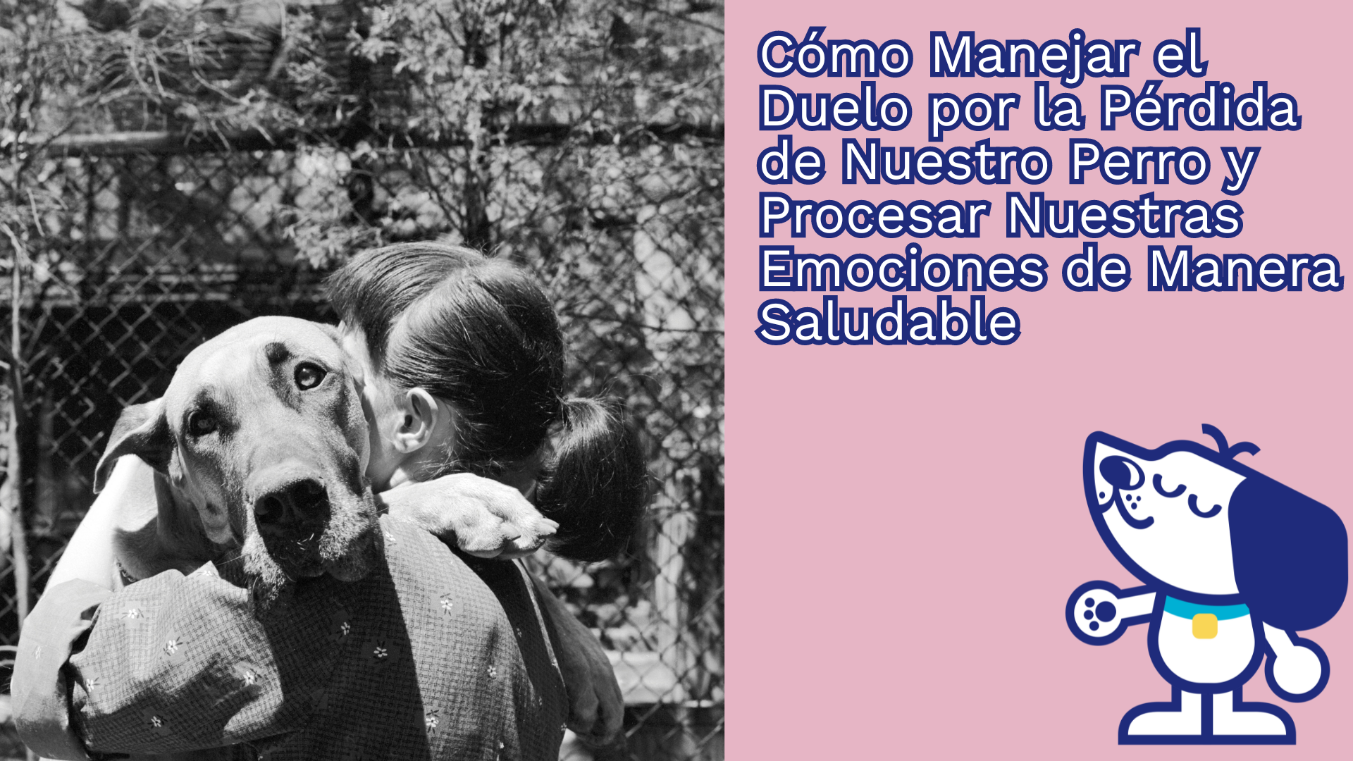 Cómo Manejar el Duelo por la Pérdida de Nuestro Perro y Procesar Nuestras Emociones de Manera Saludable