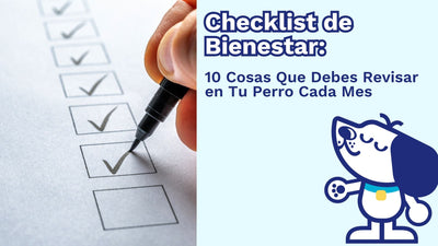 ✅ Checklist de Bienestar: 10 Cosas Que Debes Revisar en Tu Perro Cada Mes