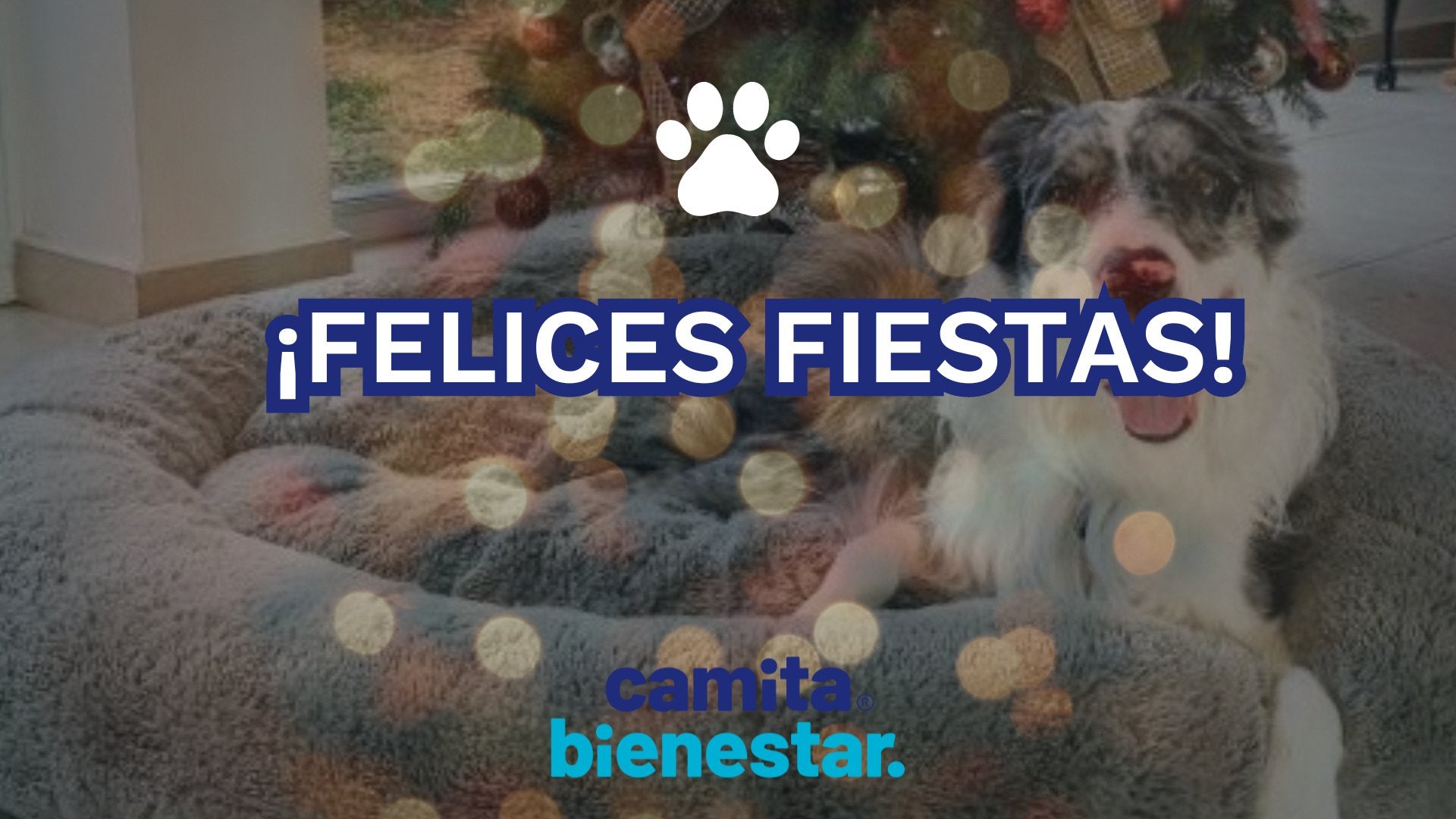 ¡FELICES FIESTAS!