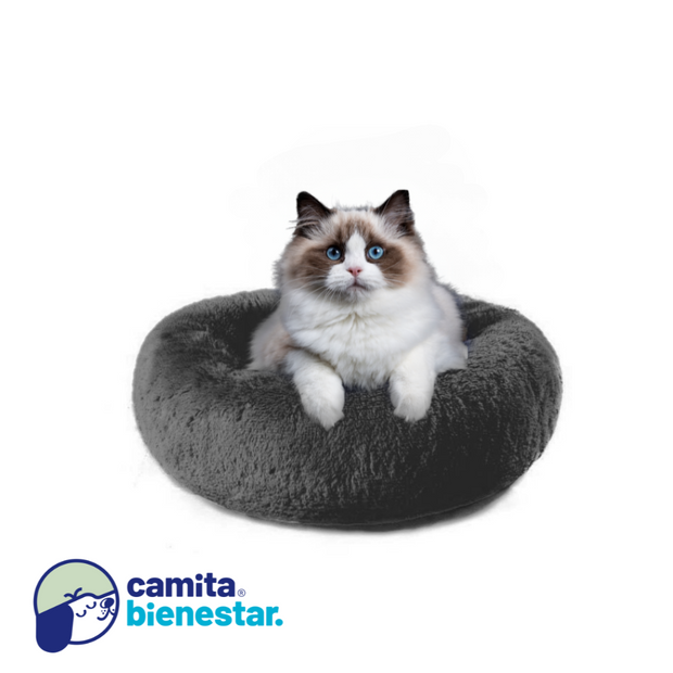 Camitas Antiestrés – Camita Bienestar
